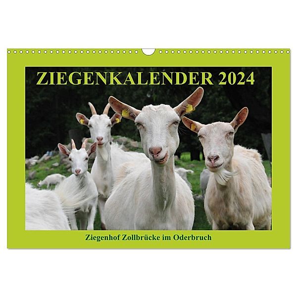 Ziegenkalender 2024 (Wandkalender 2024 DIN A3 quer), CALVENDO Monatskalender, Antje Püpke