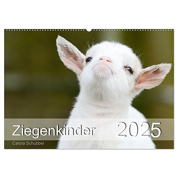 Ziegenkinder (Wandkalender 2025 DIN A2 quer), CALVENDO Monatskalender, Calvendo, Carola Schubbel
