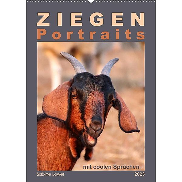 Ziegenportraits (Wandkalender 2023 DIN A2 hoch), Sabine Löwer