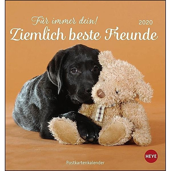 Ziemlich beste Freunde Postkartenkalender 2020