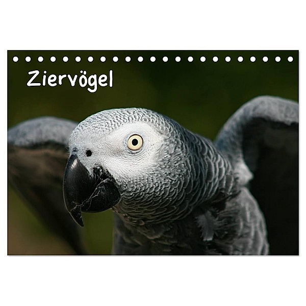 Ziervögel (Tischkalender 2024 DIN A5 quer), CALVENDO Monatskalender, Antje Lindert-Rottke