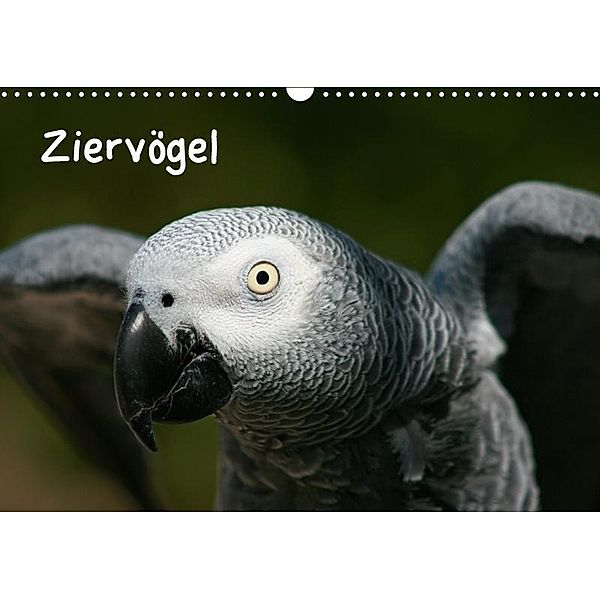 Ziervögel (Wandkalender 2019 DIN A3 quer), Antje Lindert-Rottke