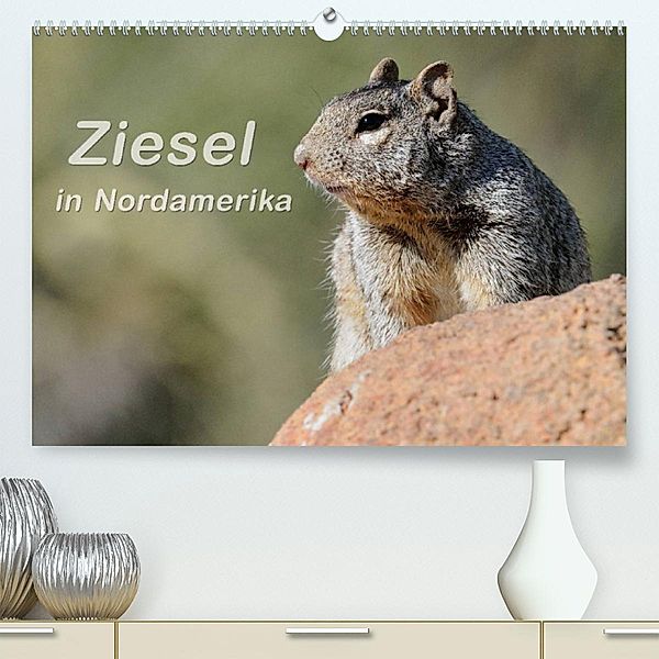 Ziesel in Nordamerika (Premium, hochwertiger DIN A2 Wandkalender 2023, Kunstdruck in Hochglanz), Dieter Wilczek