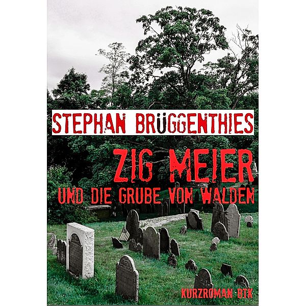 Zig Meier und die Grube von Walden / Zbigniew Meier Bd.3, Stephan Brüggenthies