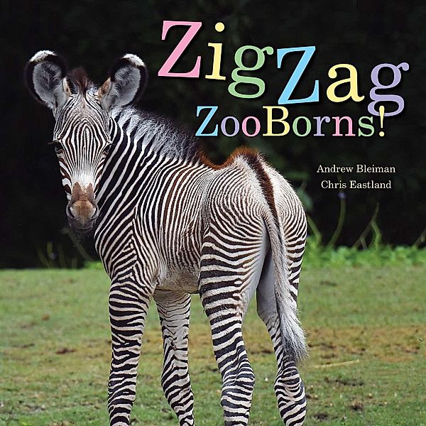 ZigZag ZooBorns!, Andrew Bleiman, Chris Eastland