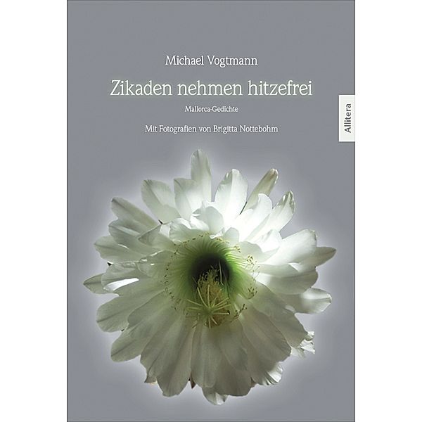 Zikaden nehmen hitzefrei, Michael Vogtmann