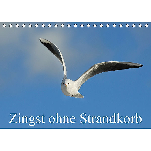 Zingst ohne Strandkorb (Tischkalender 2019 DIN A5 quer), Sigrid Starick