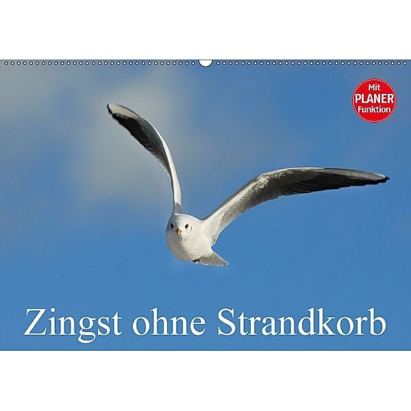 Zingst ohne Strandkorb (Wandkalender 2018 DIN A2 quer), Sigrid Starick