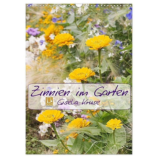 Zinnien im Garten (Wandkalender 2024 DIN A3 hoch), CALVENDO Monatskalender, Gisela Kruse