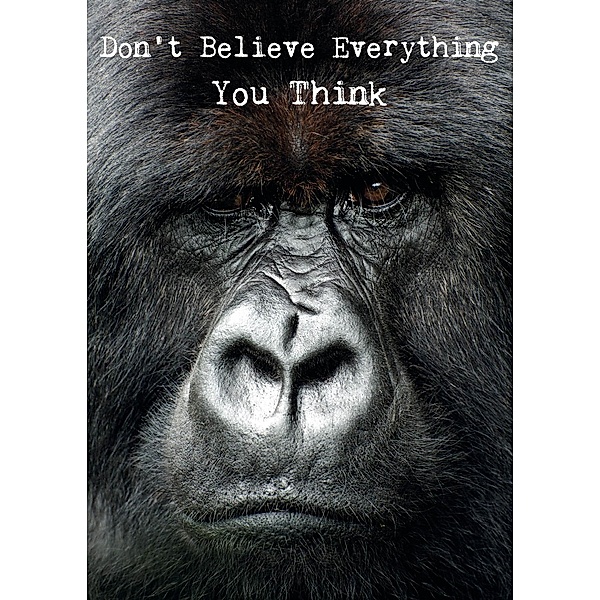 Zintenz: Weisheits-Postkarte 30: Don't Believe Everything Yo, Zintenz