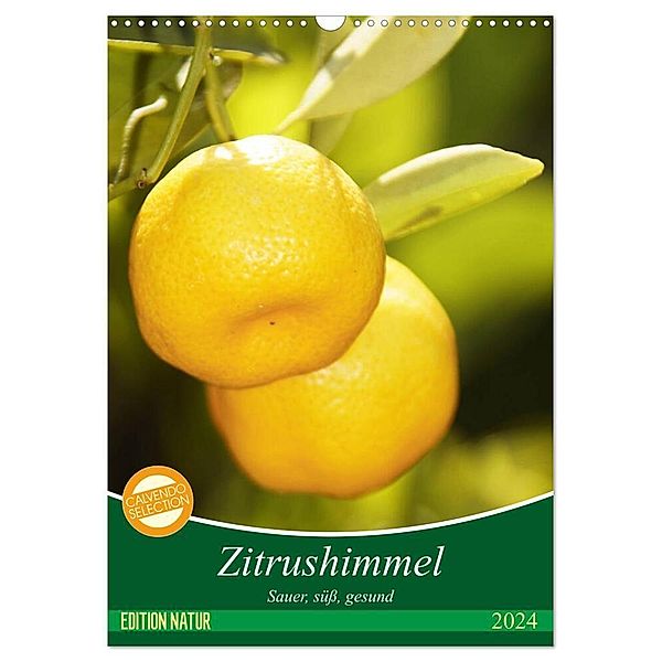 Zitrushimmel (Wandkalender 2024 DIN A3 hoch), CALVENDO Monatskalender, Georg Schmitt