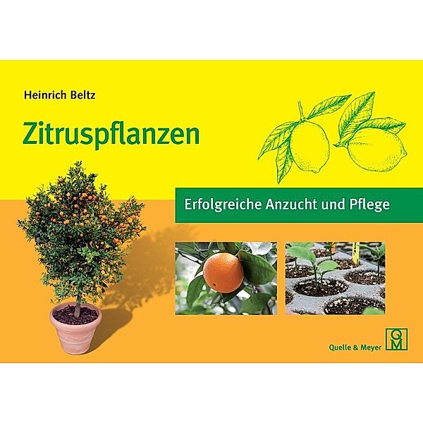 Zitruspflanzen, Heinrich Beltz