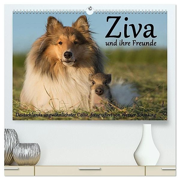 Ziva und ihre Freunde (hochwertiger Premium Wandkalender 2024 DIN A2 quer), Kunstdruck in Hochglanz, Werner Schmäing