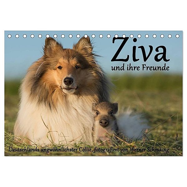 Ziva und ihre Freunde (Tischkalender 2024 DIN A5 quer), CALVENDO Monatskalender, Werner Schmäing