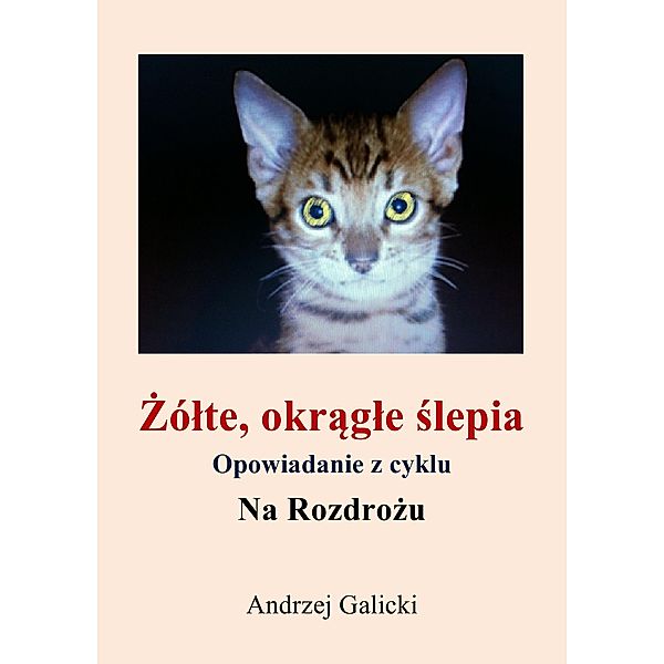 Zólte, okragle slepia - opowiadanie po polsku, Andrzej Galicki