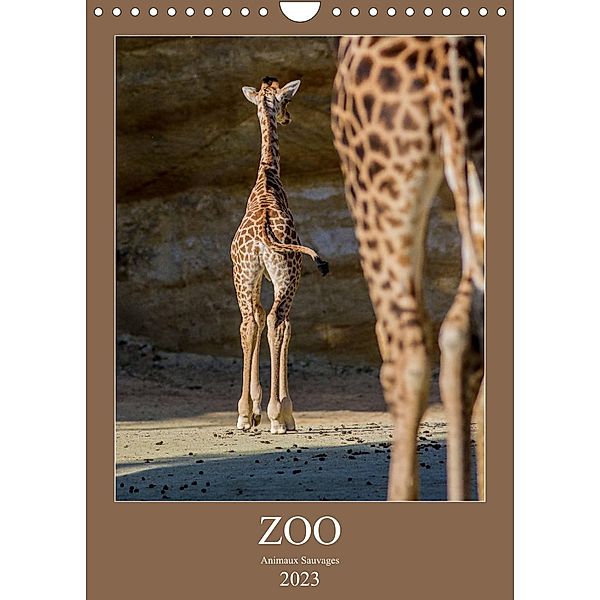 Zoo animaux sauvages (Calendrier mural 2023 DIN A4 vertical), Franckfotography