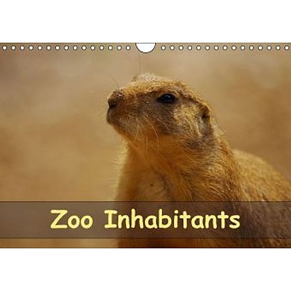 Zoo Inhabitants / UK-Version (Wall Calendar 2014 DIN A4 Landscape), Bianca Schumann