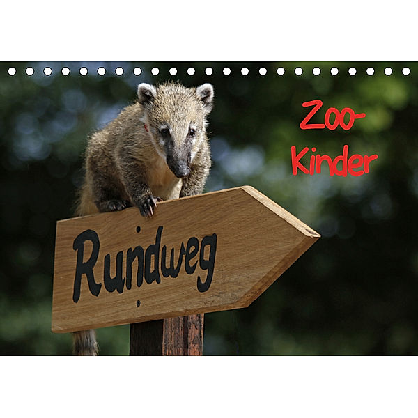 Zoo-Kinder (Tischkalender 2019 DIN A5 quer), Pferdografen.de