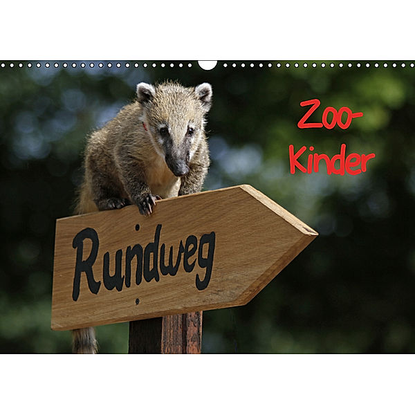 Zoo-Kinder (Wandkalender 2019 DIN A3 quer), Pferdografen.de