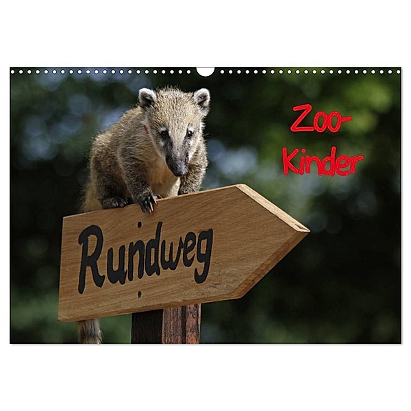 Zoo-Kinder (Wandkalender 2024 DIN A3 quer), CALVENDO Monatskalender, Pferdografen.de