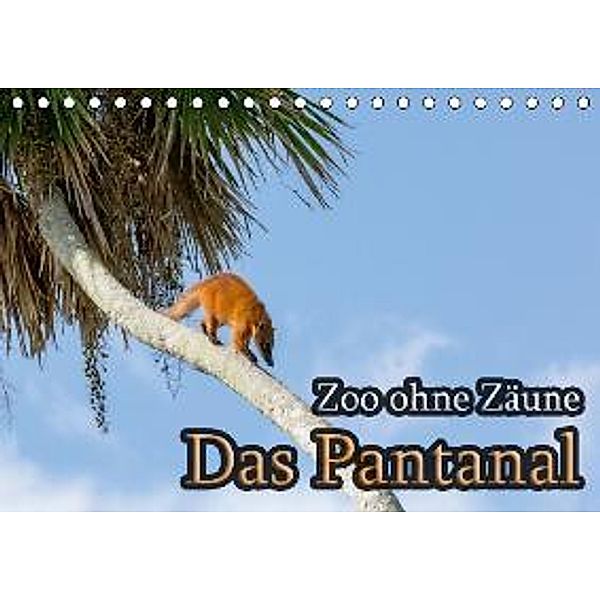 Zoo ohne Zäune - Das Pantanal (Tischkalender 2016 DIN A5 quer), Jörg Sobottka