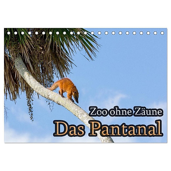 Zoo ohne Zäune - Das Pantanal (Tischkalender 2024 DIN A5 quer), CALVENDO Monatskalender, Jörg Sobottka