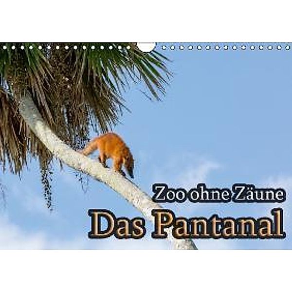 Zoo ohne Zäune - Das Pantanal (Wandkalender 2016 DIN A4 quer), Jörg Sobottka