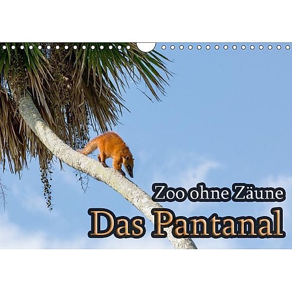 Zoo ohne Zäune - Das Pantanal (Wandkalender 2017 DIN A4 quer), Jörg Sobottka
