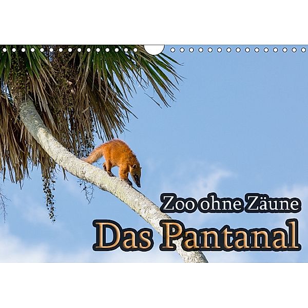 Zoo ohne Zäune - Das Pantanal (Wandkalender 2018 DIN A4 quer), Jörg Sobottka