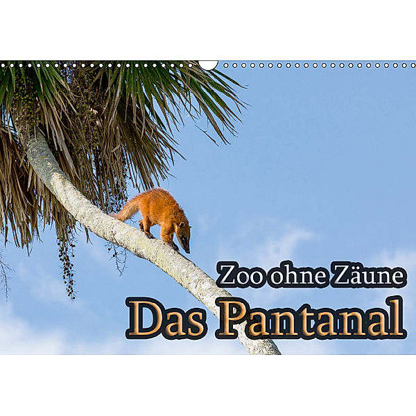 Zoo ohne Zäune - Das Pantanal (Wandkalender 2019 DIN A3 quer), Jörg Sobottka