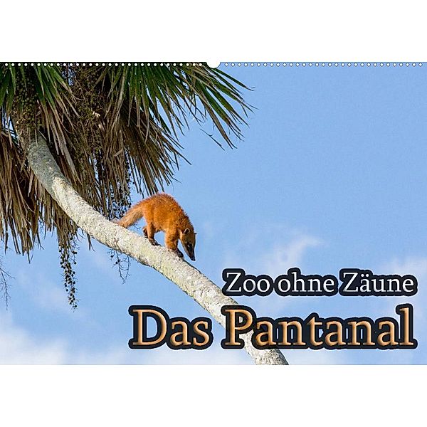 Zoo ohne Zäune - Das Pantanal (Wandkalender 2023 DIN A2 quer), Jörg Sobottka