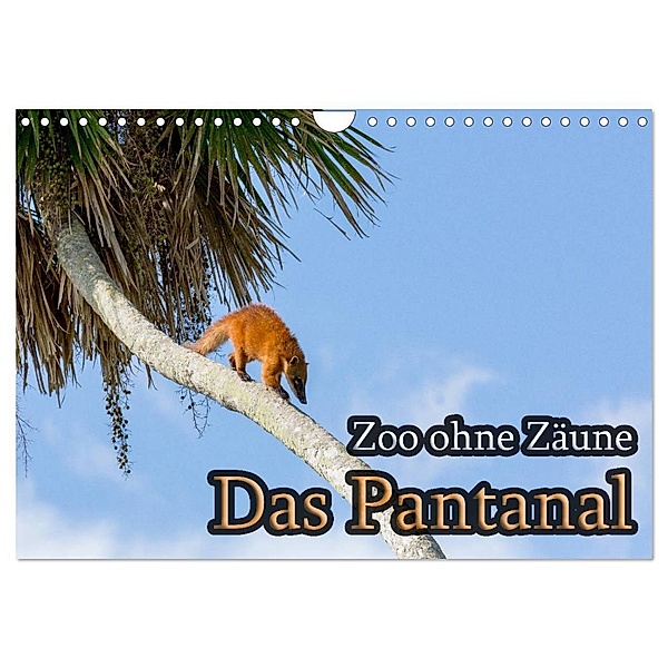 Zoo ohne Zäune - Das Pantanal (Wandkalender 2024 DIN A4 quer), CALVENDO Monatskalender, Jörg Sobottka