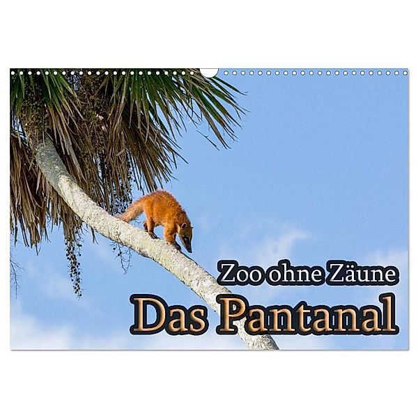 Zoo ohne Zäune - Das Pantanal (Wandkalender 2024 DIN A3 quer), CALVENDO Monatskalender, Jörg Sobottka