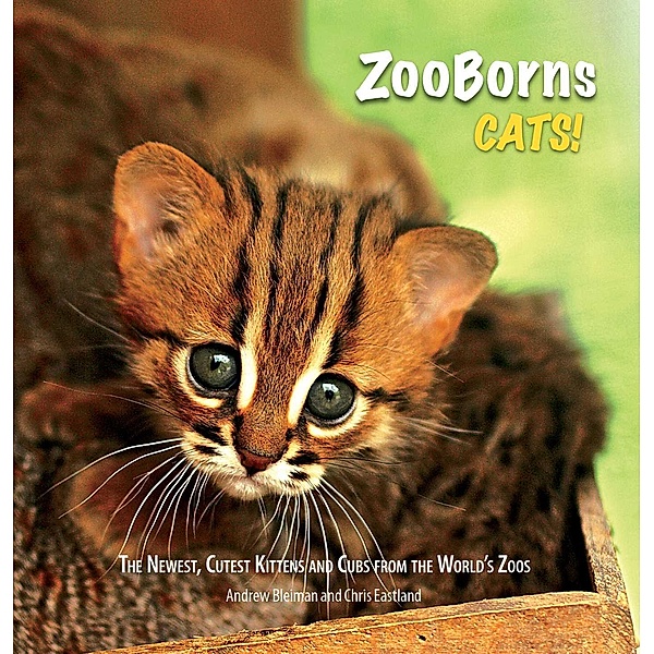 ZooBorns Cats!, Andrew Bleiman, Chris Eastland