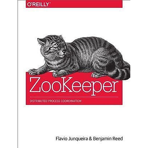 ZooKeeper, Flavio Junqueira