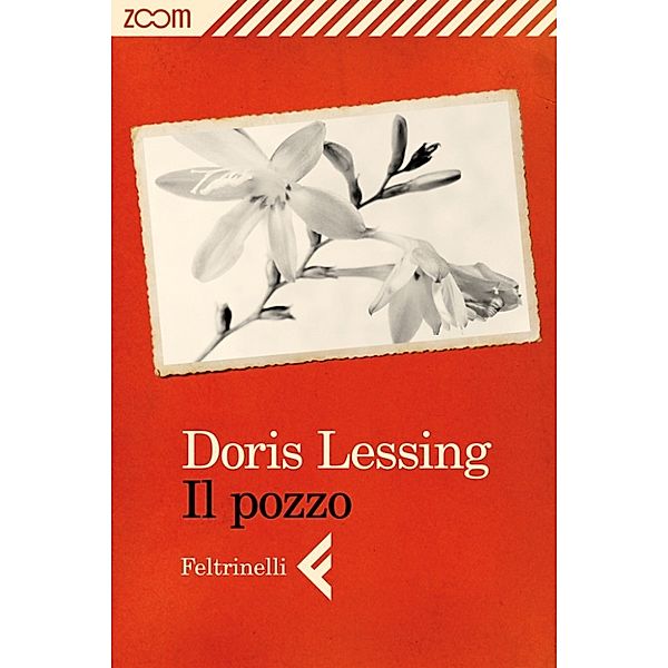ZOOM Flash: Il pozzo, Doris Lessing