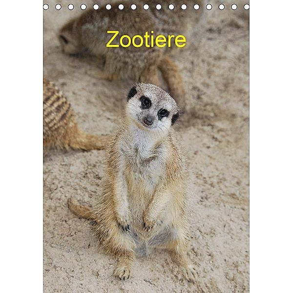 Zootiere (Tischkalender 2020 DIN A5 hoch)