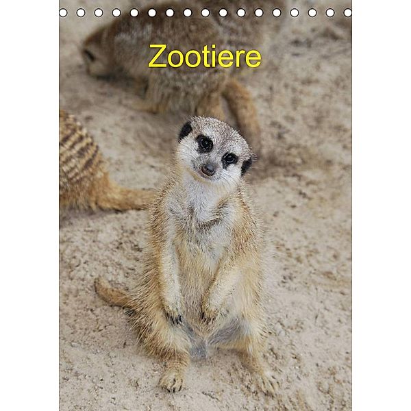 Zootiere (Tischkalender 2023 DIN A5 hoch), Age