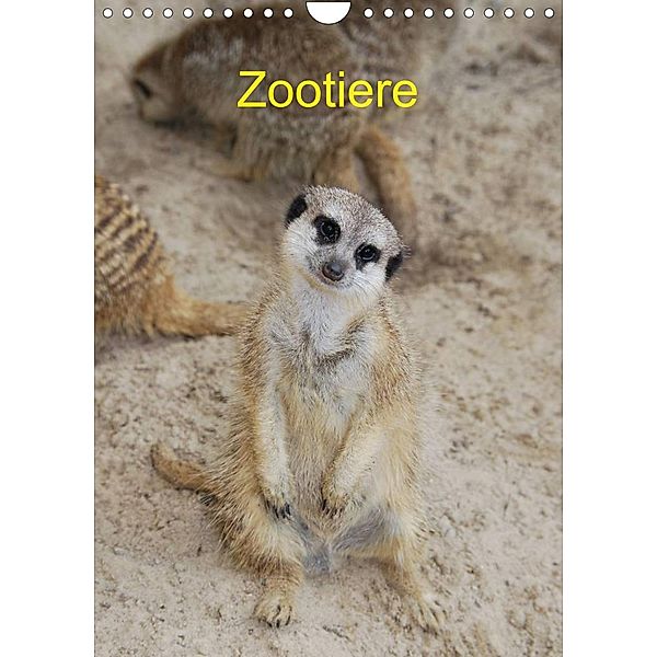 Zootiere (Wandkalender 2023 DIN A4 hoch), Age