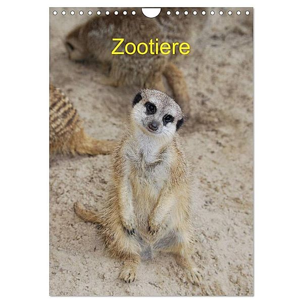 Zootiere (Wandkalender 2024 DIN A4 hoch), CALVENDO Monatskalender, Age