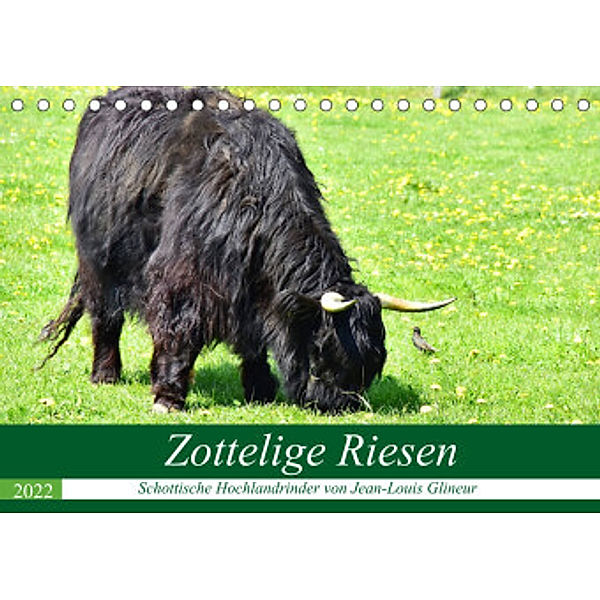 Zottelige Riesen - Schottische Hochlandrinder (Tischkalender 2022 DIN A5 quer), Jean-Louis Glineur