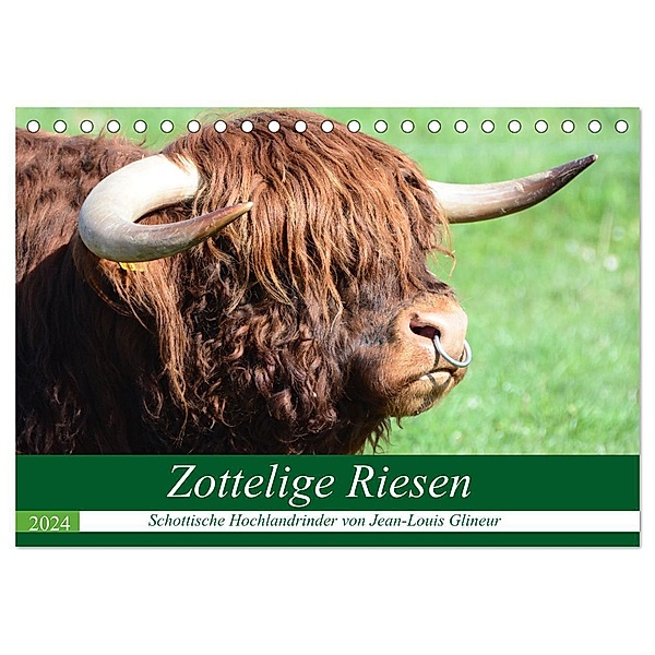 Zottelige Riesen - Schottische Hochlandrinder (Tischkalender 2024 DIN A5 quer), CALVENDO Monatskalender, Jean-Louis Glineur