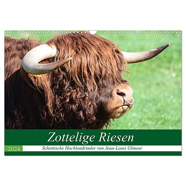 Zottelige Riesen - Schottische Hochlandrinder (Wandkalender 2024 DIN A3 quer), CALVENDO Monatskalender, Jean-Louis Glineur
