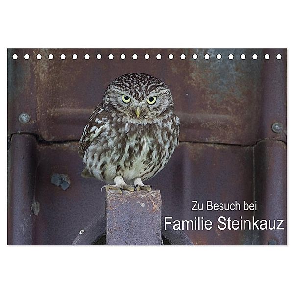 Zu Besuch bei Familie Steinkauz (Tischkalender 2024 DIN A5 quer), CALVENDO Monatskalender, Martin Wenner