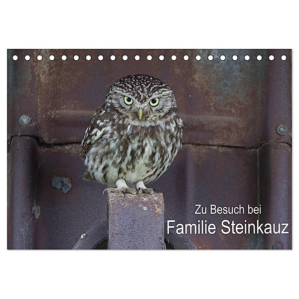 Zu Besuch bei Familie Steinkauz (Tischkalender 2025 DIN A5 quer), CALVENDO Monatskalender, Calvendo, Martin Wenner