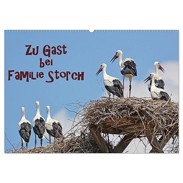 Zu Gast bei Familie Storch (Wandkalender 2024 DIN A2 quer), CALVENDO Monatskalender, Gugigei