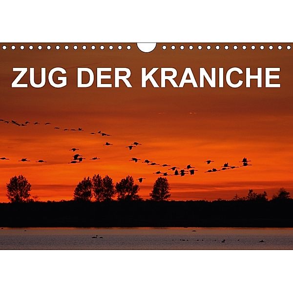 Zug der Kraniche (Wandkalender 2018 DIN A4 quer), BIA - birdimagency