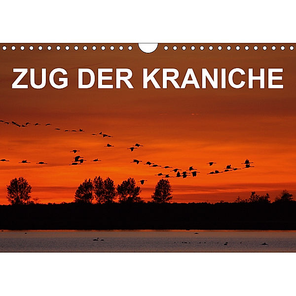 Zug der Kraniche (Wandkalender 2019 DIN A4 quer), BIA - birdimagency