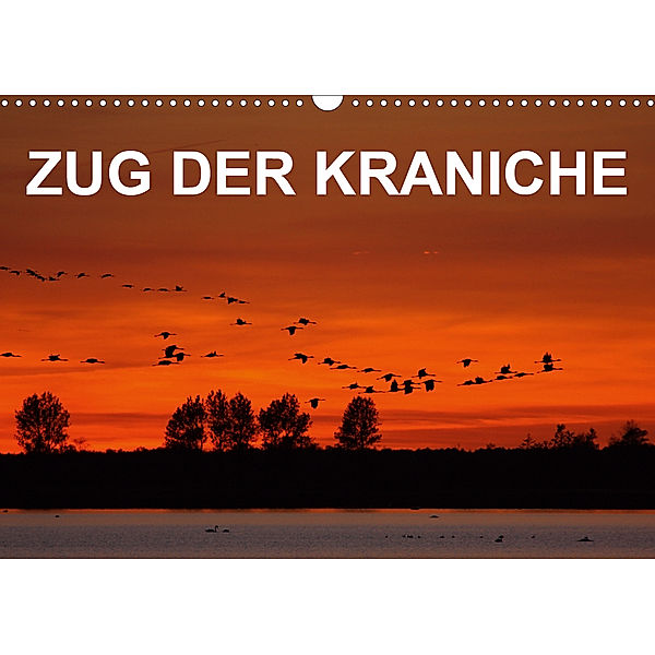 Zug der Kraniche (Wandkalender 2020 DIN A3 quer), BIA - birdimagency