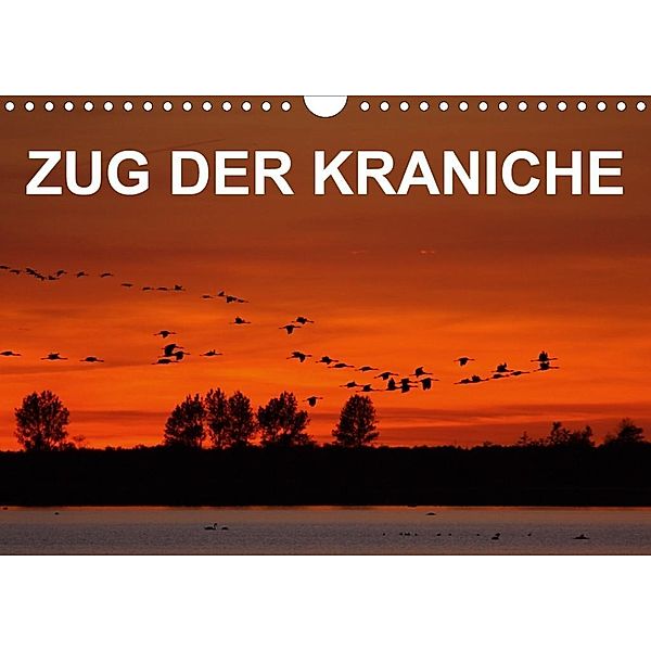 Zug der Kraniche (Wandkalender 2020 DIN A4 quer), BIA - birdimagency